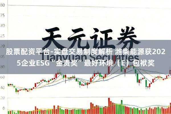 股票配资平台-实盘交易制度解析 潍柴能源获2025企业ESG“金责奖”最好环境（E）包袱奖