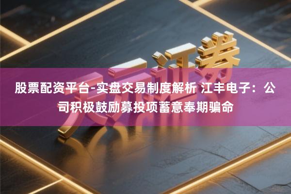股票配资平台-实盘交易制度解析 江丰电子：公司积极鼓励募投项蓄意奉期骗命