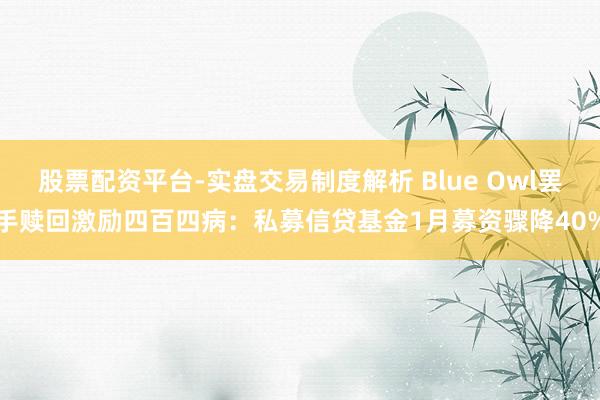 股票配资平台-实盘交易制度解析 Blue Owl罢手赎回激励四百四病:私募信贷基金1月募资骤降40%