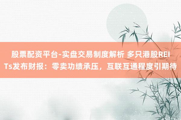 股票配资平台-实盘交易制度解析 多只港股REITs发布财报：零卖功绩承压，互联互通程度引期待