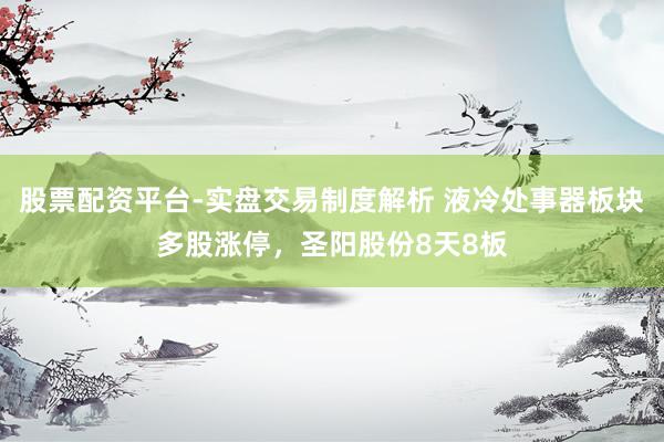 股票配资平台-实盘交易制度解析 液冷处事器板块多股涨停，圣阳股份8天8板